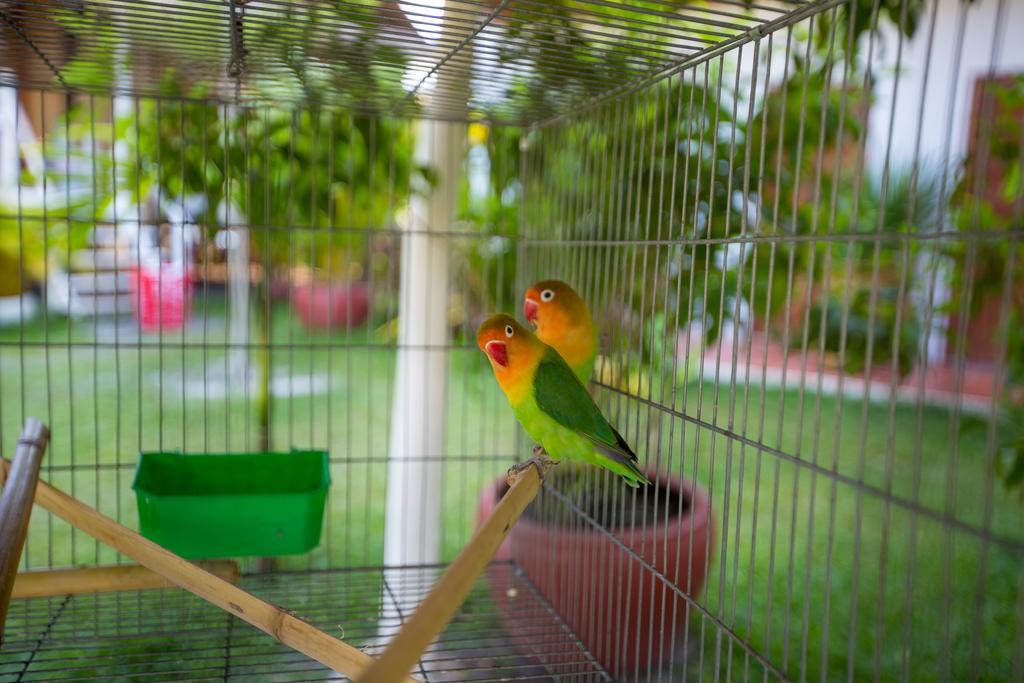 Mary Beach Bungalow Hotel Sihanoukville Buitenkant foto